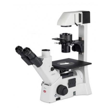 AE31E Microscopio Invertido Trinocular 100W